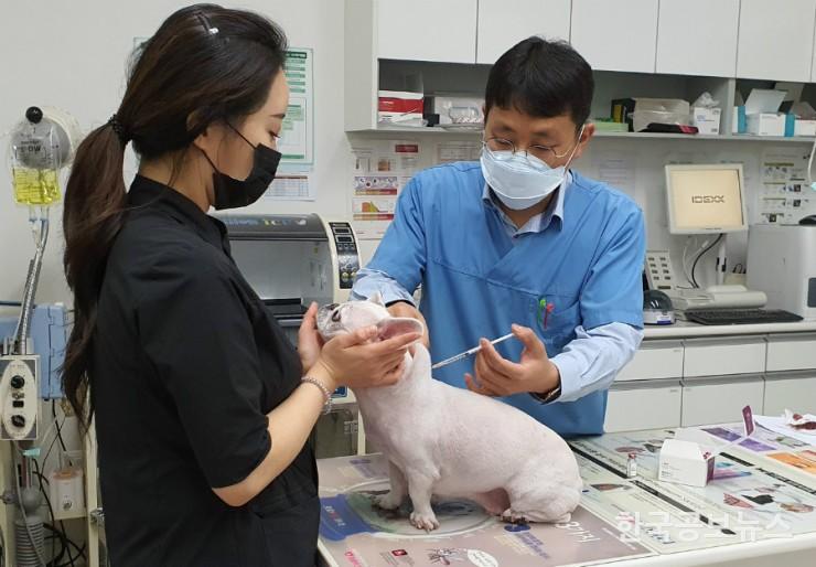 기사 사진