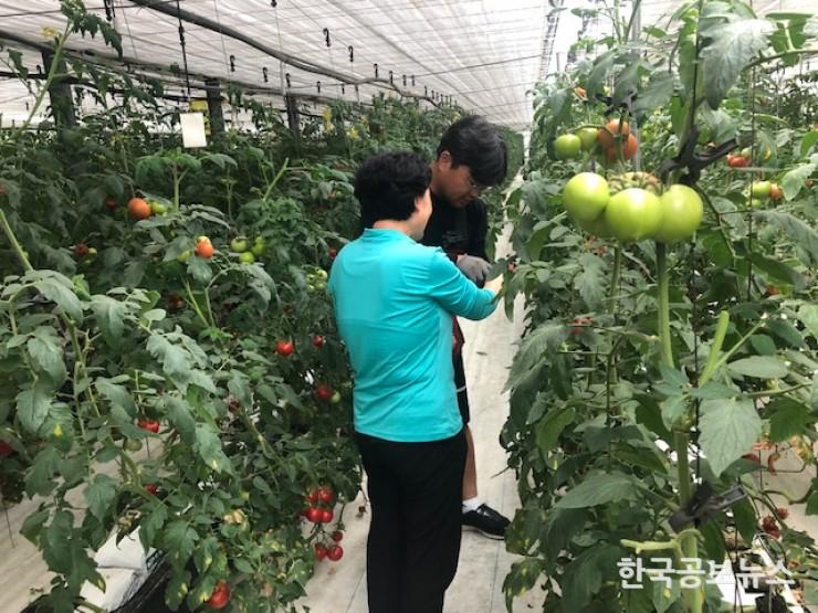 기사 사진