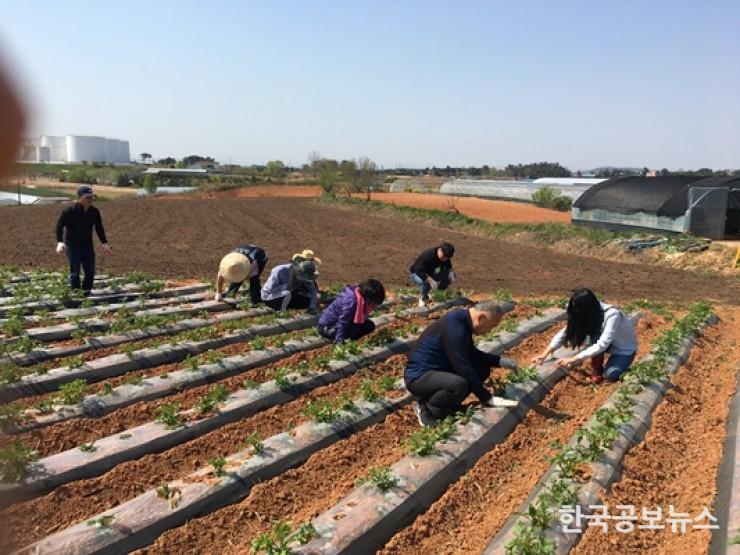 기사 사진