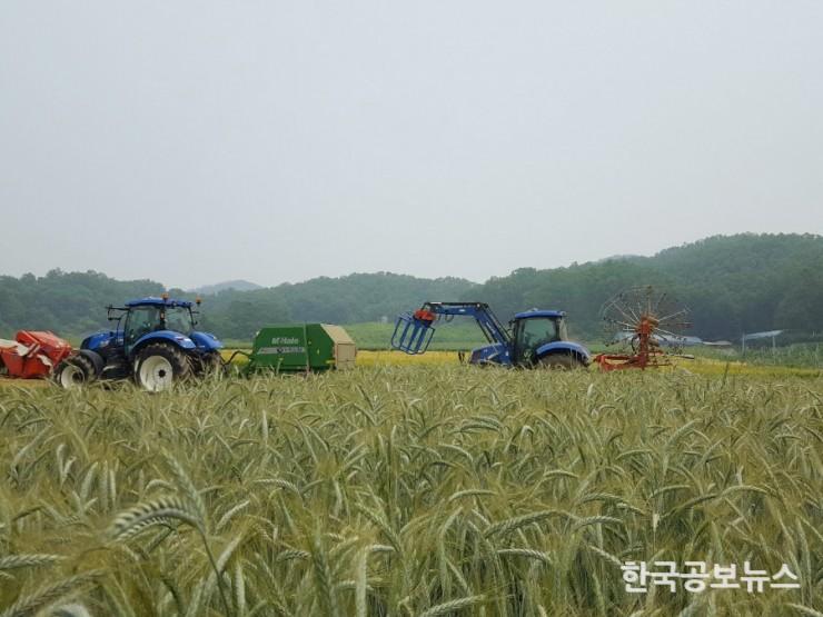 기사 사진