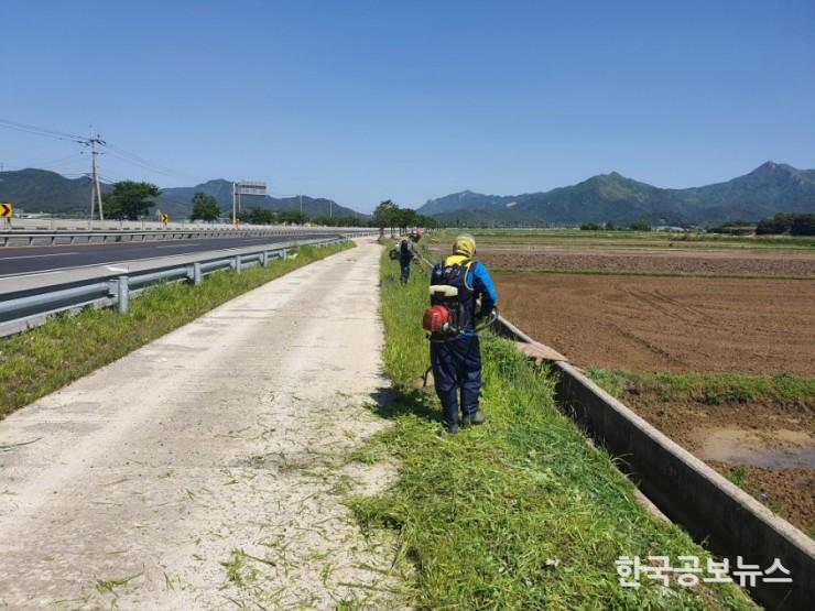 기사 사진