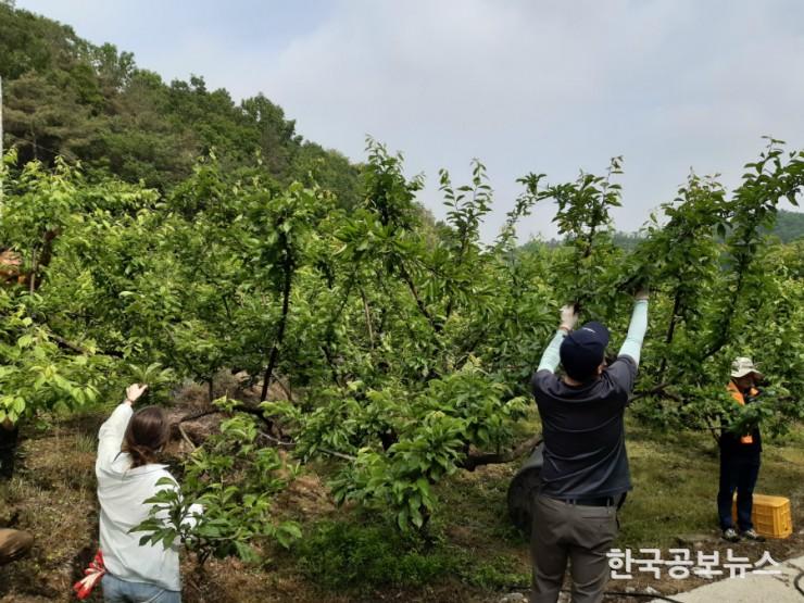 기사 사진
