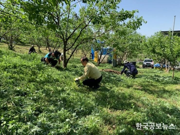기사 사진