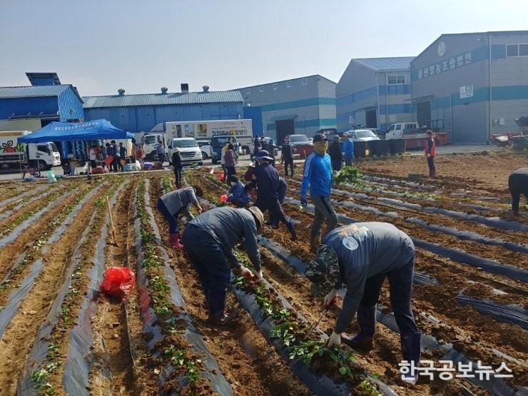 기사 사진