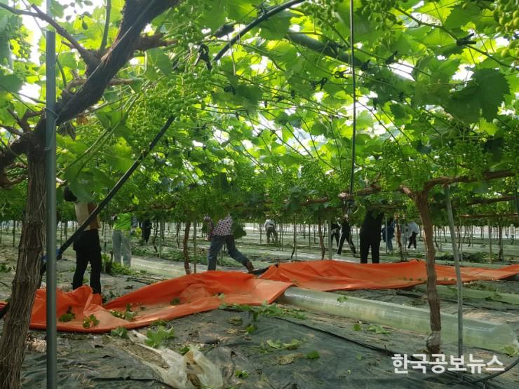 기사 사진