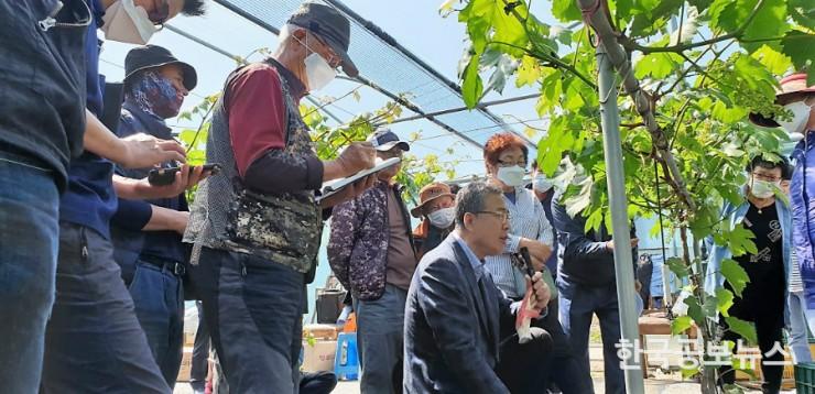 기사 사진
