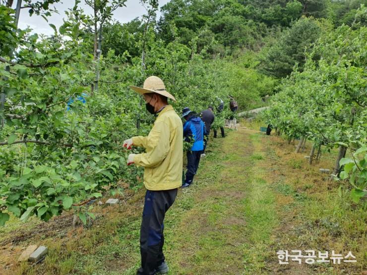 기사 사진