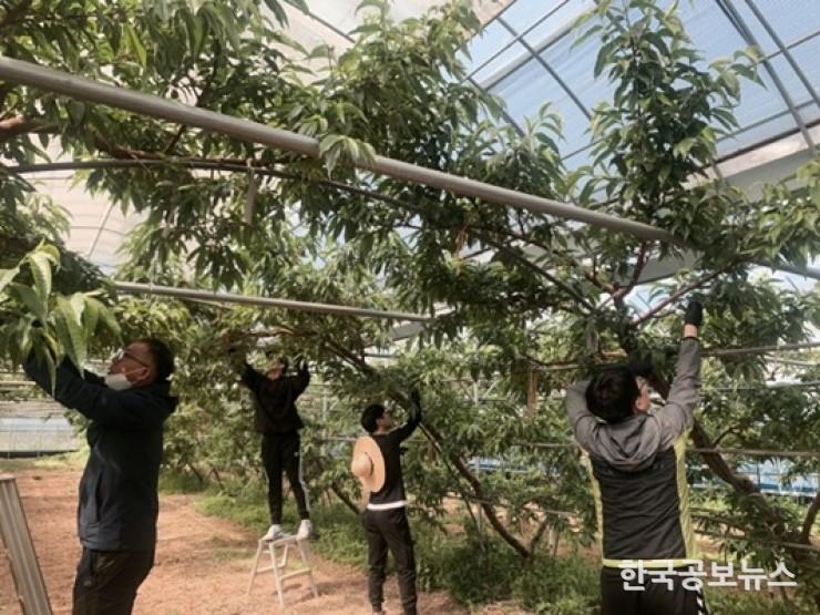 기사 사진