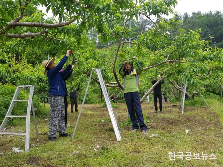 기사 사진
