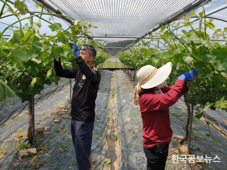 기사 사진