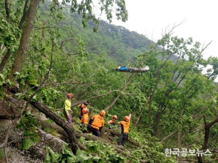 기사 사진