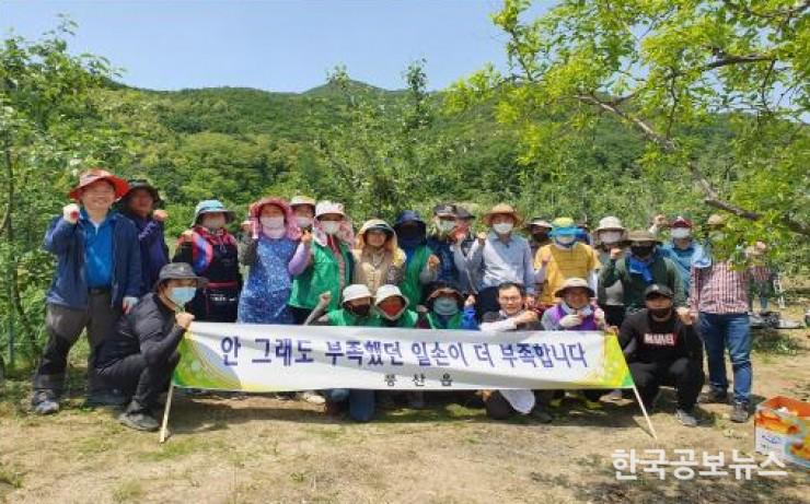 기사 사진