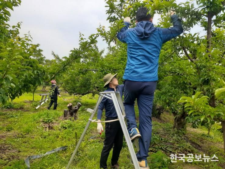 기사 사진