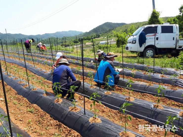 기사 사진