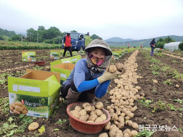 기사 사진