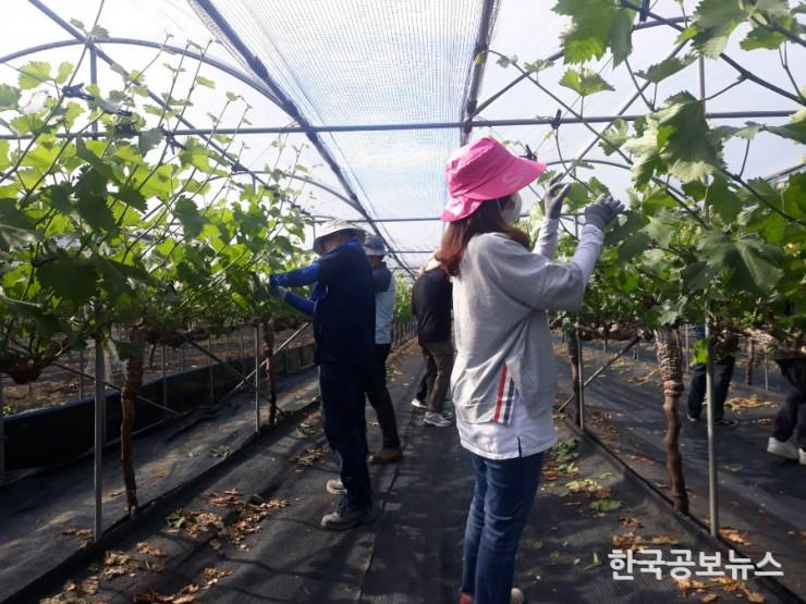 기사 사진