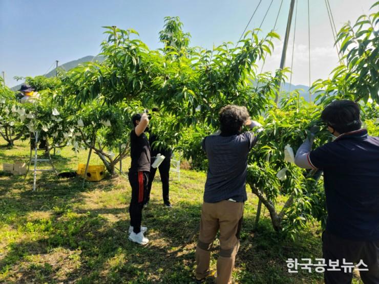 기사 사진