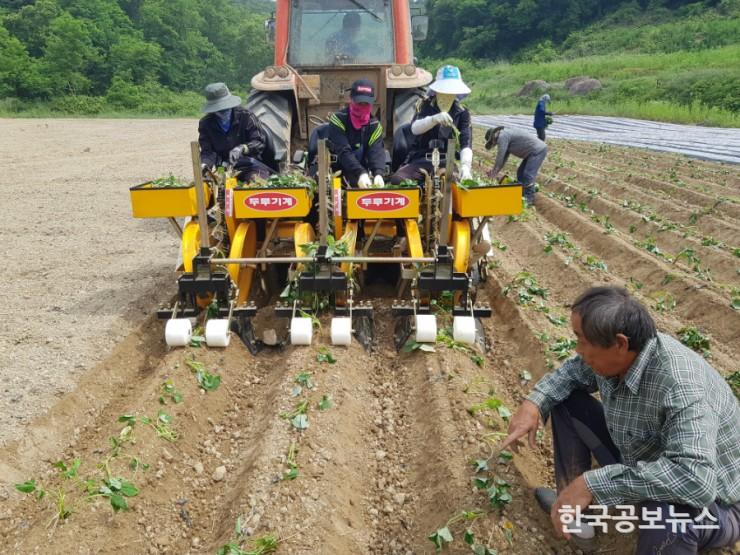 기사 사진