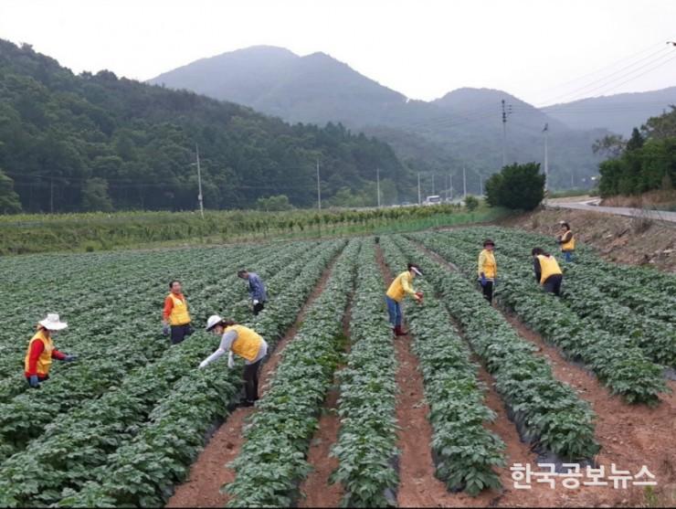 기사 사진