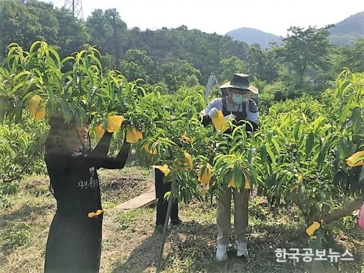 기사 사진