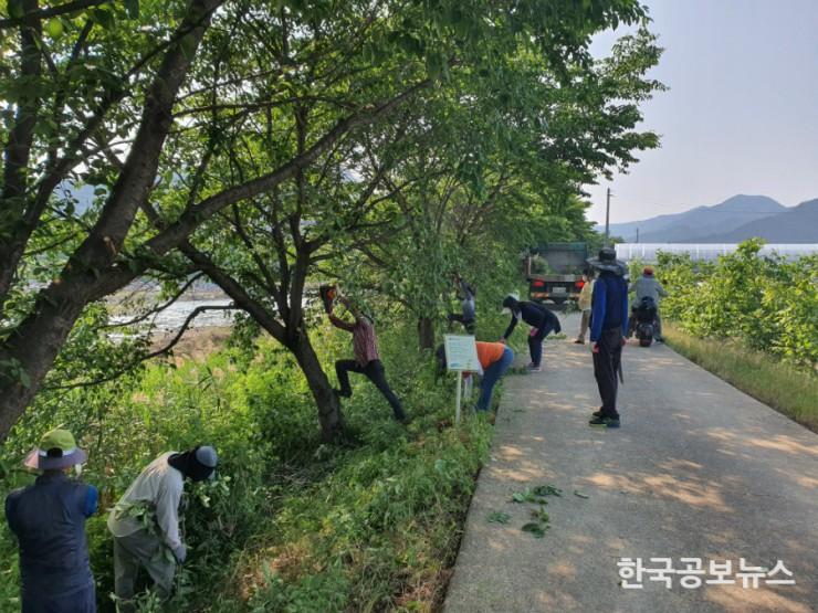 기사 사진