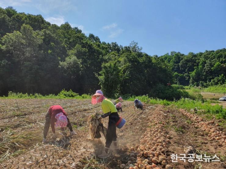기사 사진