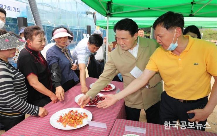 기사 사진