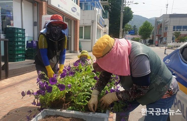 기사 사진