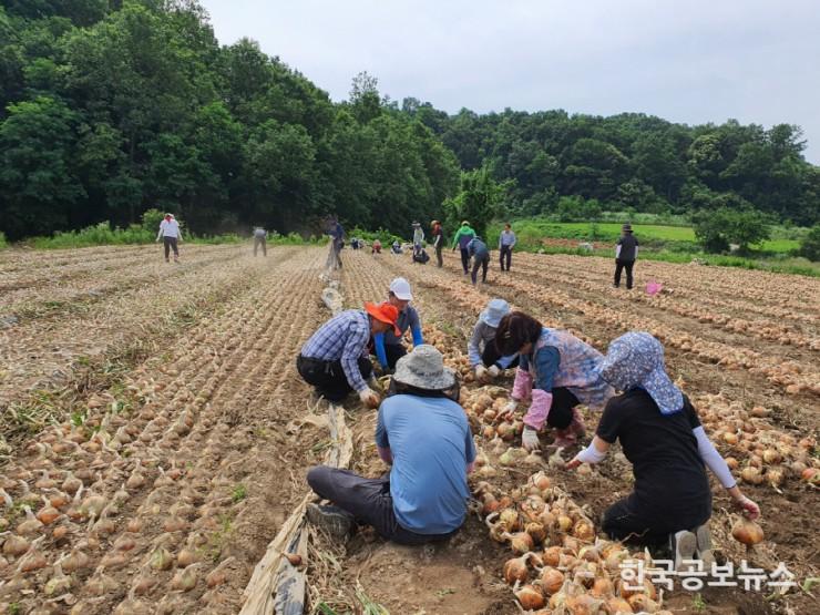 기사 사진