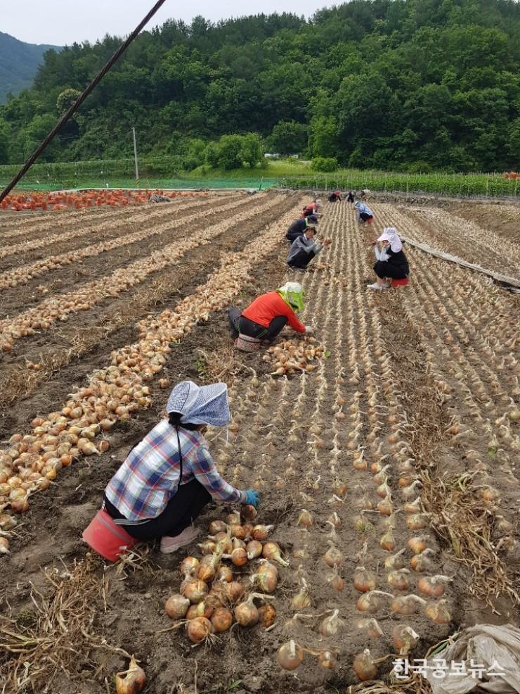 기사 사진