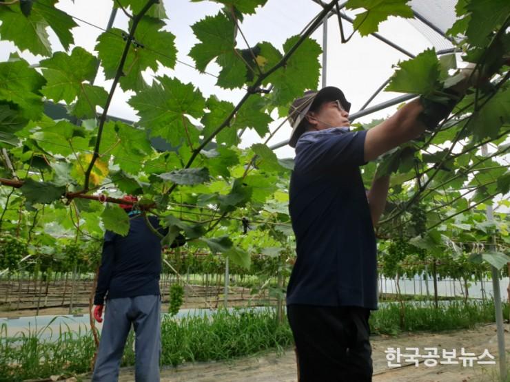 기사 사진