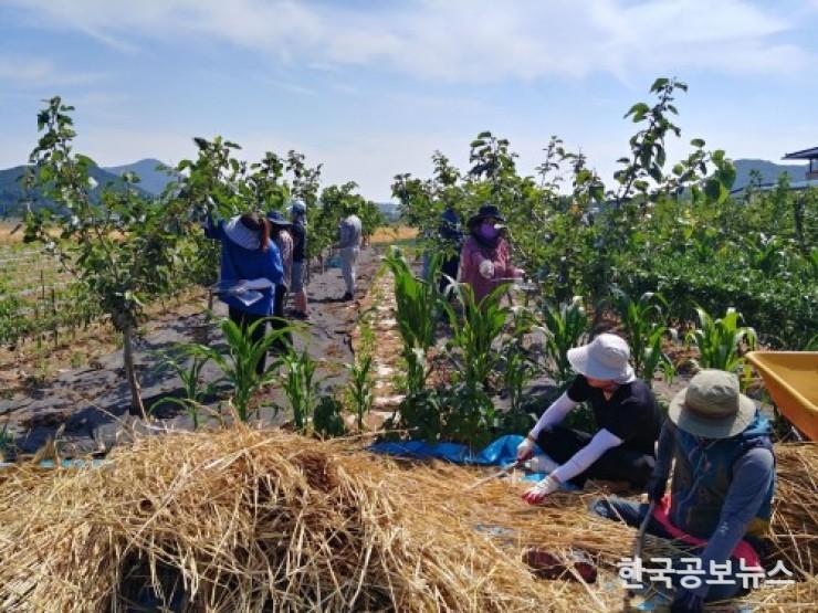기사 사진