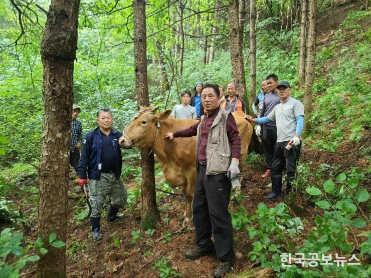 기사 사진