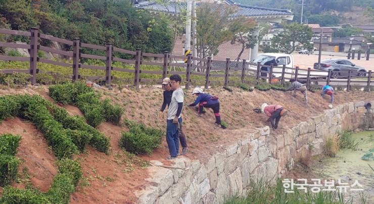 기사 사진
