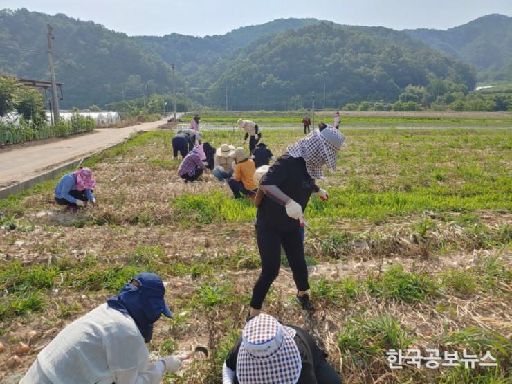 기사 사진