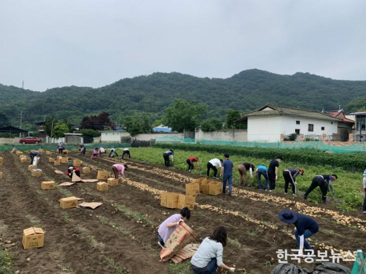 기사 사진