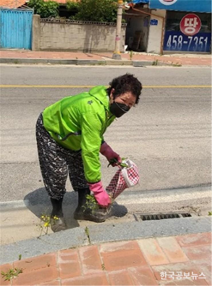 기사 사진