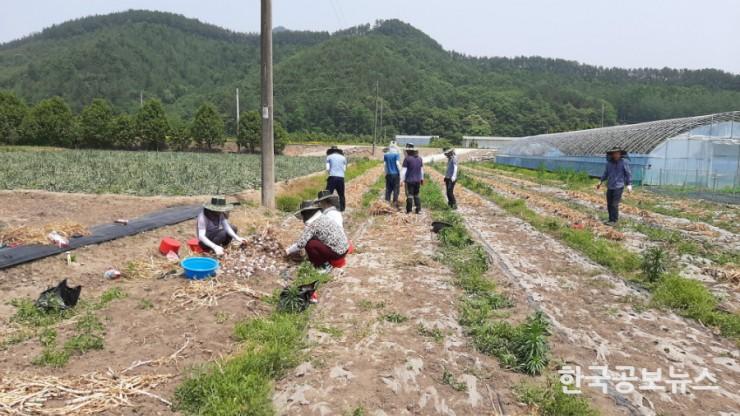기사 사진