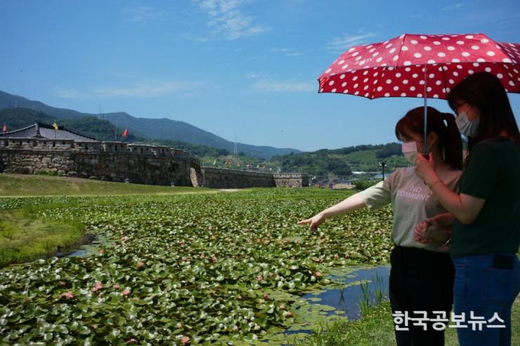 기사 사진