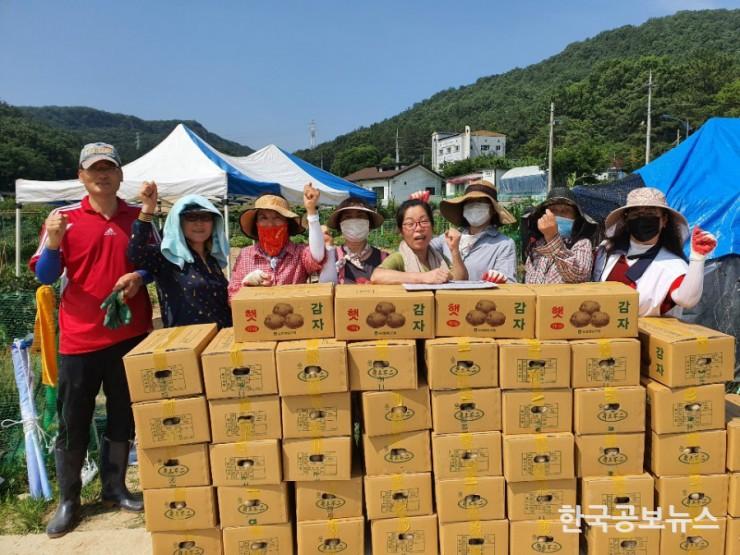 기사 사진