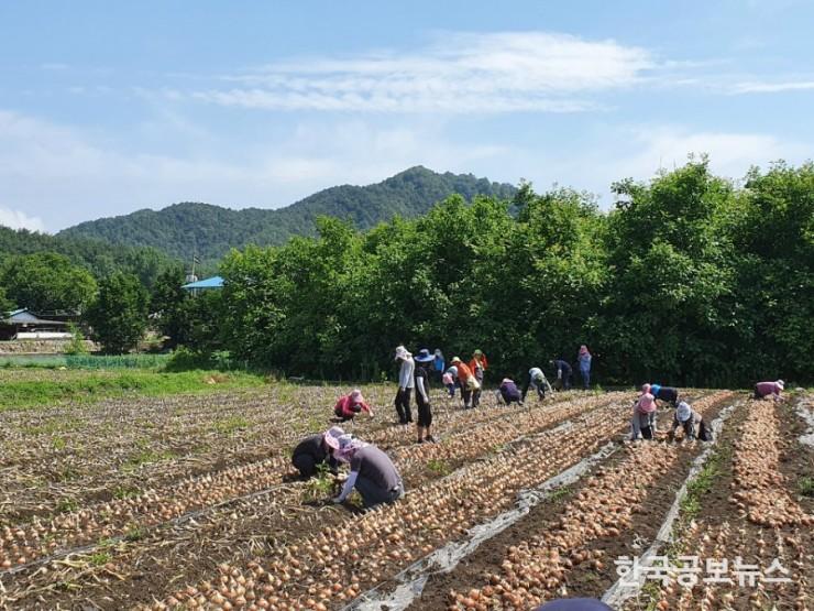 기사 사진