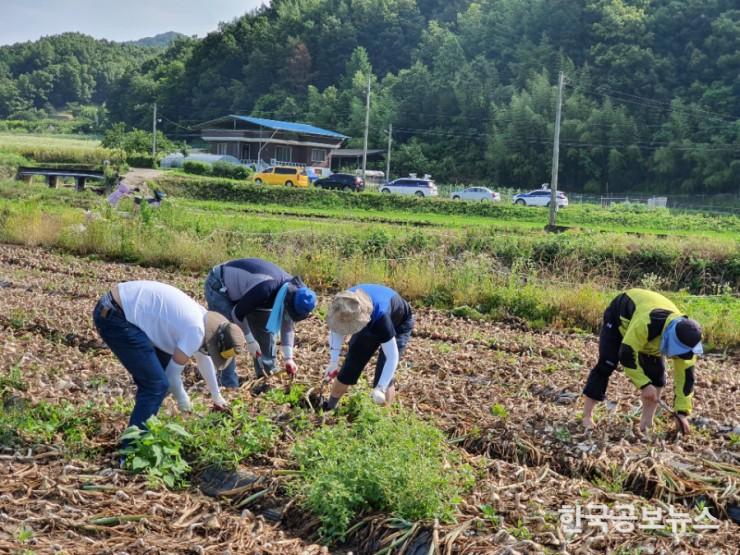 기사 사진
