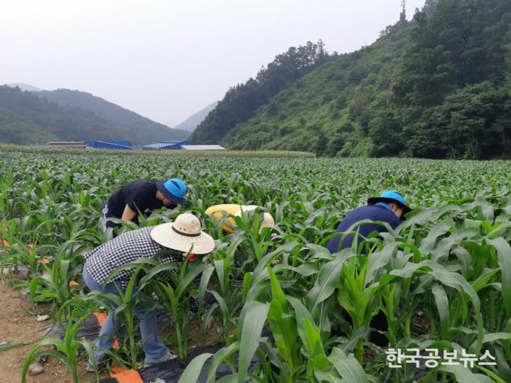 기사 사진