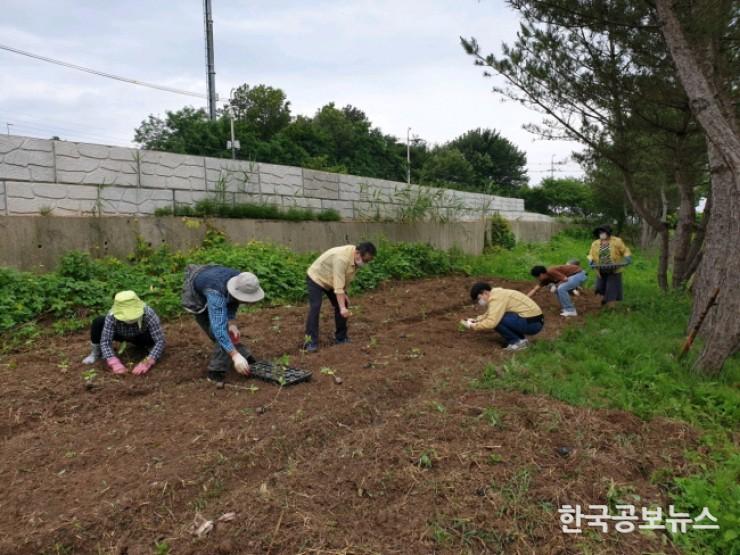 기사 사진