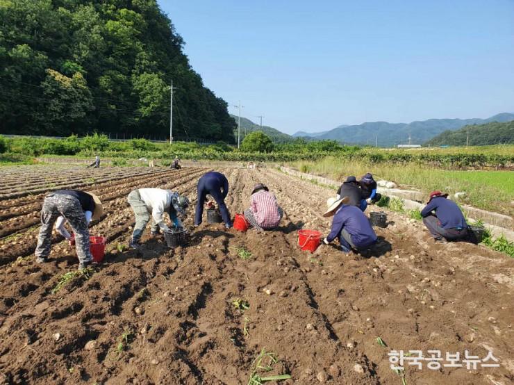기사 사진