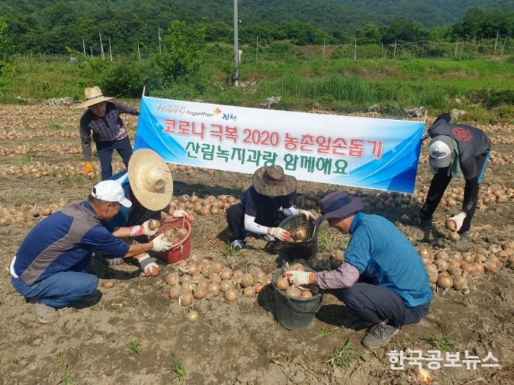 기사 사진