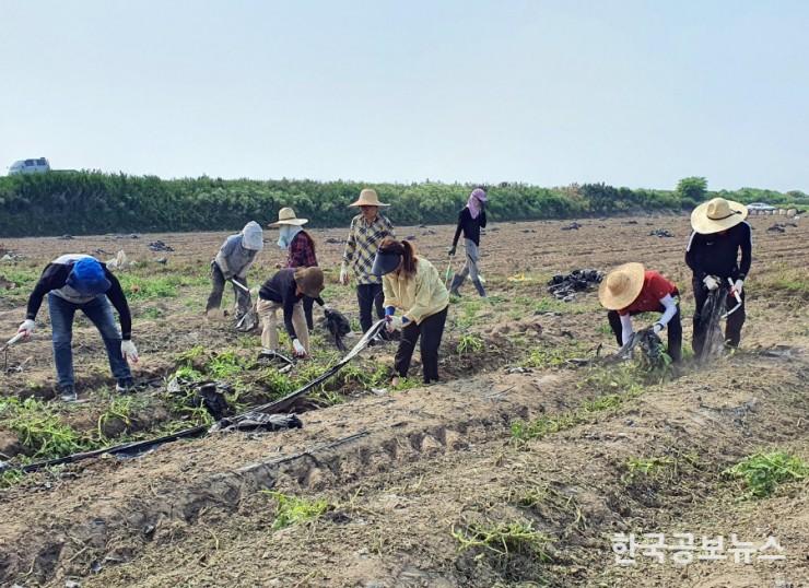 기사 사진