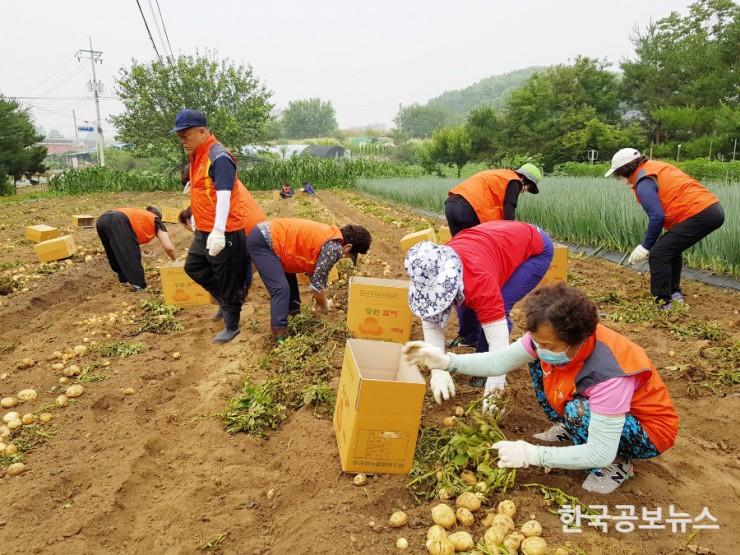 기사 사진