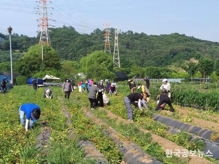 기사 사진