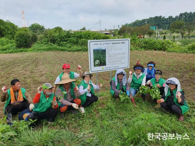 기사 사진